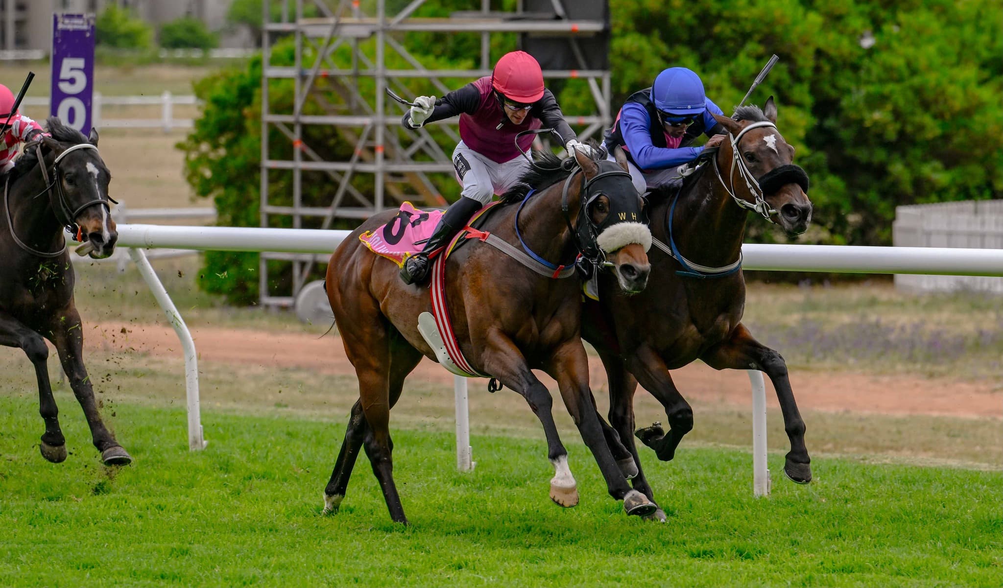 William's Woman - SAPFS Racing