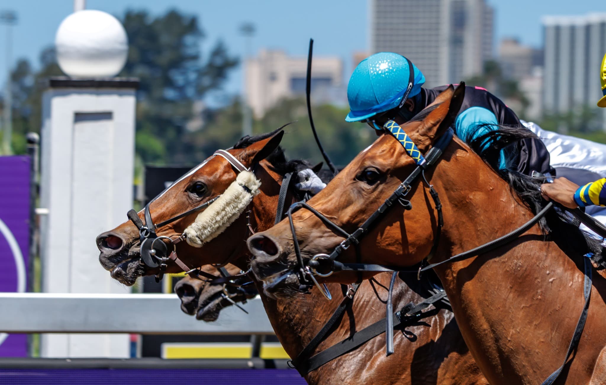 Austrian Beauty - Photo 5