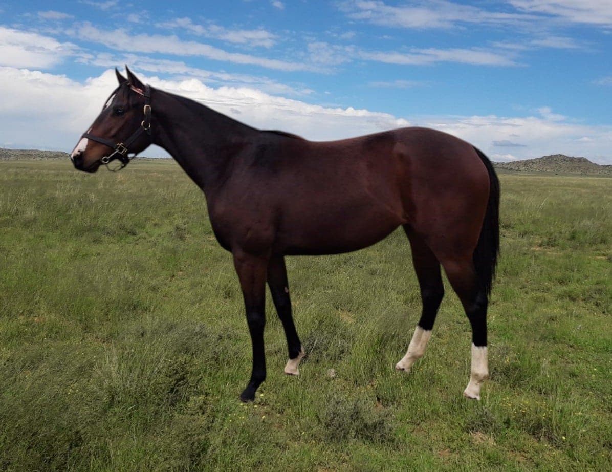 Force Of Air - SAPFS Racing